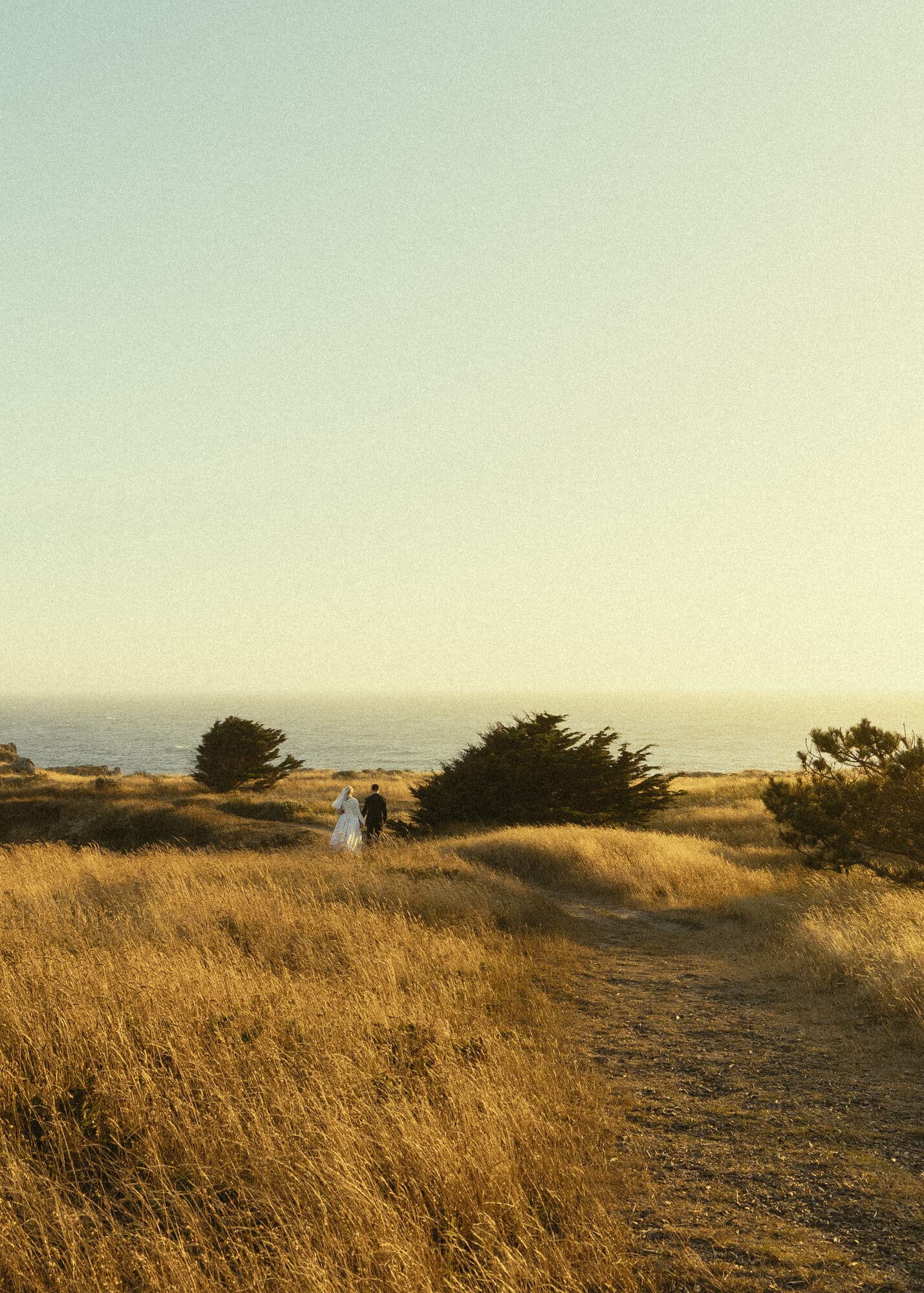 Golden hour portraits at The Sea Ranch